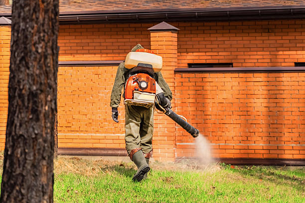 Bed Bug Clearance Verification and Documentation in Smithville-Sanders
